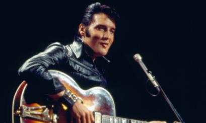 Elvis. Photo Credit: EPE Elvis. Photo Credit: EPE