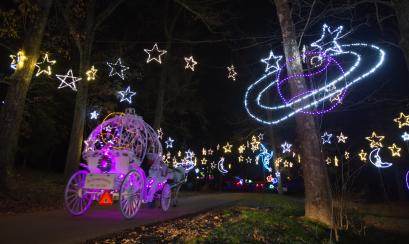 Shelby Farms Starry Night / Allen Gillespie