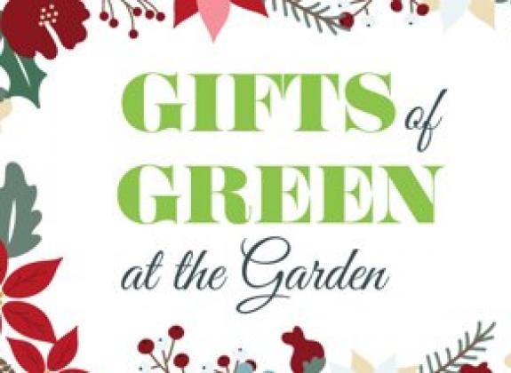 gifts of green at the garden