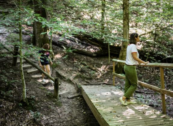 Meeman Shelby Forest State Park