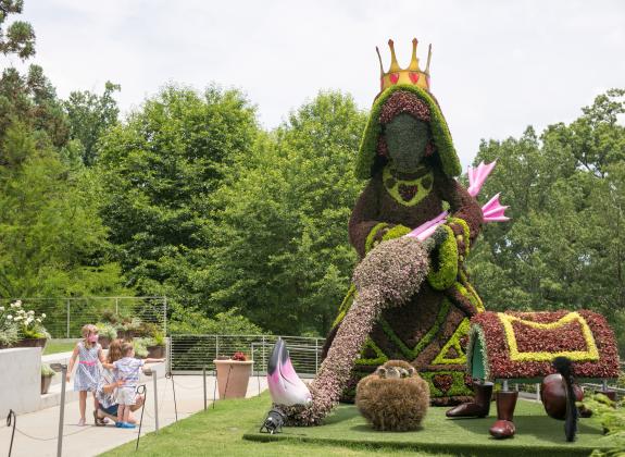 Alice in Wonderland Memphis Botanic Gardens / Atlanta Botanic Gardens