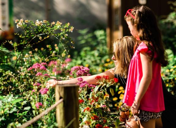 Child and parent looking at the spring blooms and butterflies at Memphis Zoo's Metamorphosis: The Butterfly Effect exhibit. 