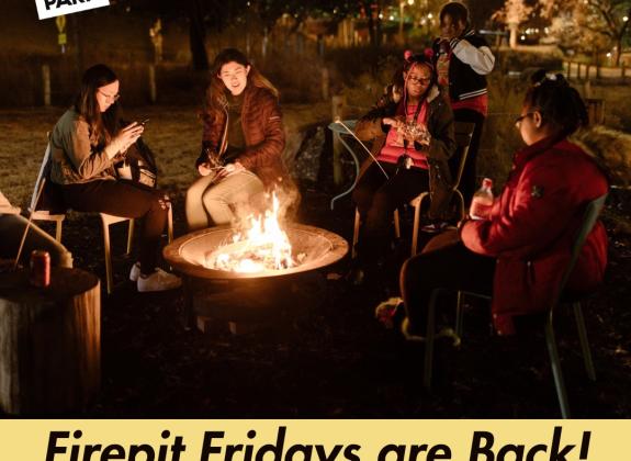 people sitting around a fire at night at park