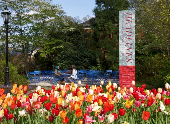 Dixon Garden with tulips