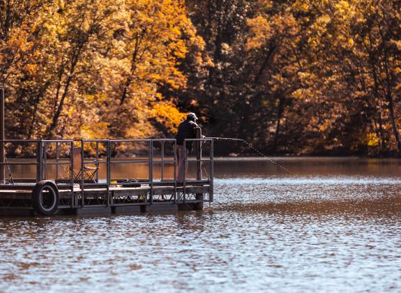 man fishing at Shelby forest during fall