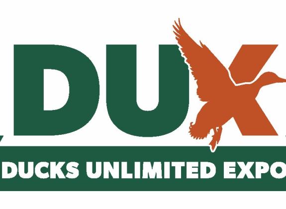 ducks 2025