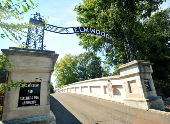 Established in 1852, Elmwood is the 80-acre final resting place to over 75,000 inhabitants. Docents offer tours and host special events year round. Discover a slice of Memphis history among Victorian era tombs, featuring angels, flowers and plants. Photo