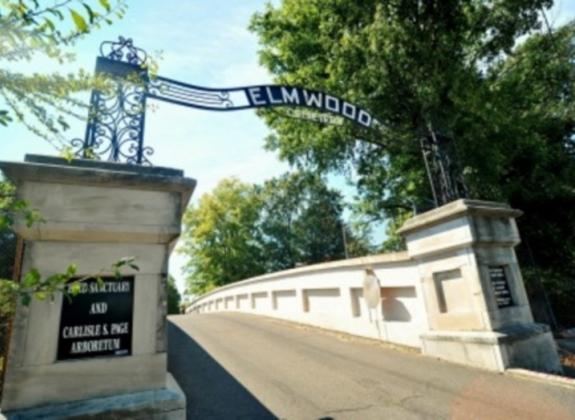 Elmwood Cemetery. Photo by Andrea Zucker. Photo