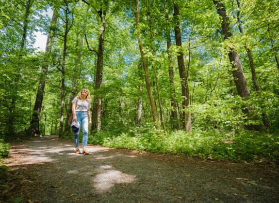 Nature Trail Photo