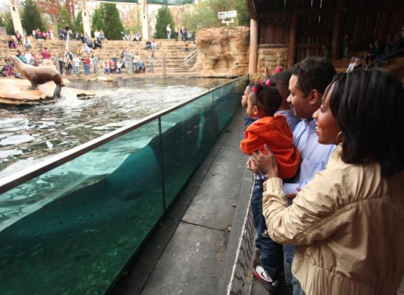 A tribute to the animals, First Nations culture and architecture of the Pacific Northwest Home to polar bears, sea lions, black bears, bald eagles and ravens

Includes a large underwater viewing area allowing guests to view polar bears and sea lions in a Photo 3