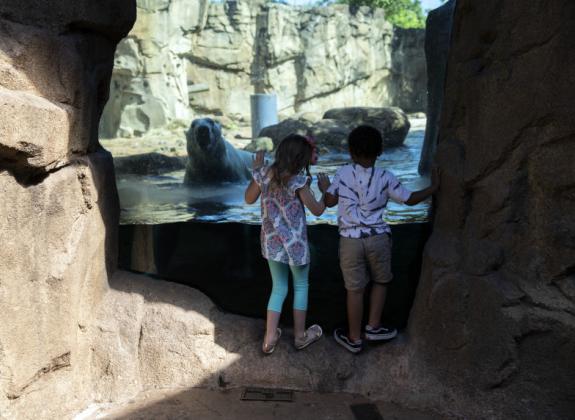 Kids enjoying the Memphis Zoo Photo 2