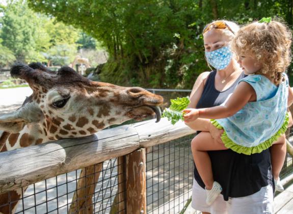 Family safely enjoys a day at the Memphis Zoo. Photo 2