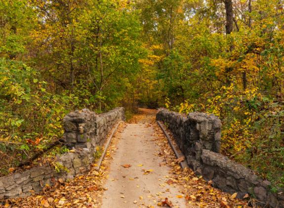 Overton Park trails. Photo: Connor Ryan Photo 3