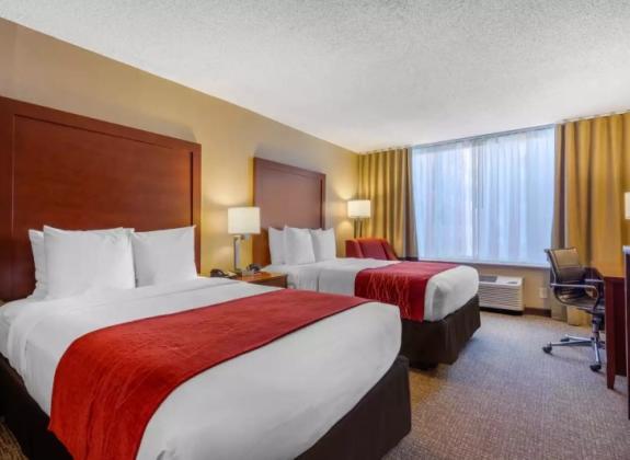 Two Full Size Beds - Comfort Inn Downtown Photo 5