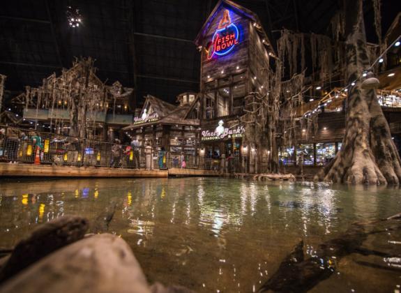 Uncle Buck's Fish Bowl and indoor pond inside Bass Pro Shops at the Pyramid Photo