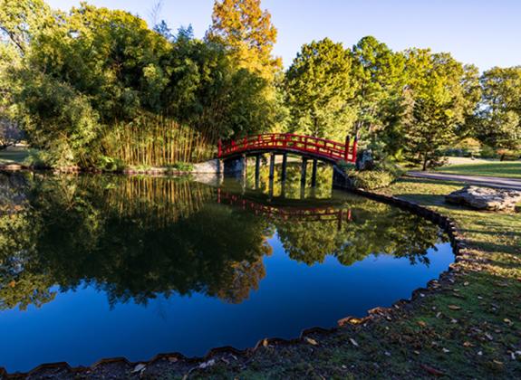 Japanese Garden - Mike Kerr Photo 2