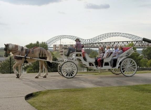 Carriage Company - Baxter Buck Photo