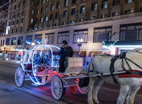 Downtown Carriage - Logan Young Photo 2