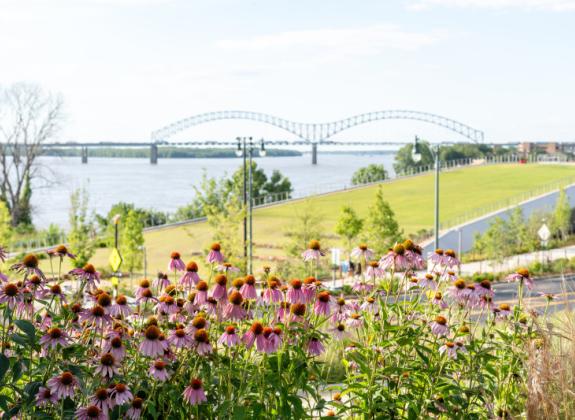 Image of Carlisle Cutbank Bluff walk way connecting to Tom Lee Park with view of the Mississippi River and bridge Photo 2