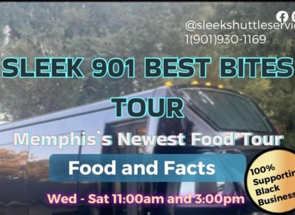 Sleek Shuttle Service Flyer - Sleek Shuttle Photo 2