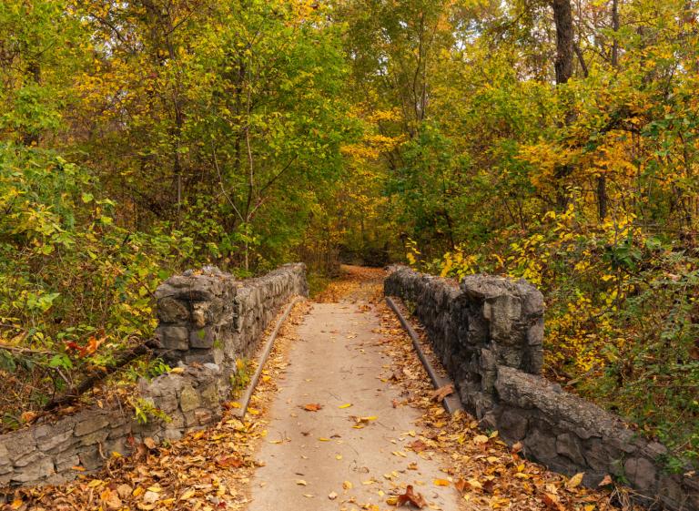 Overton Park trails. Photo: Connor Ryan Photo 3