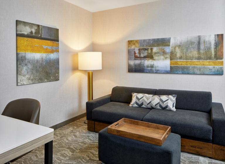 Springhill Suite - Springhill Suites Memphis Downtown Photo 5