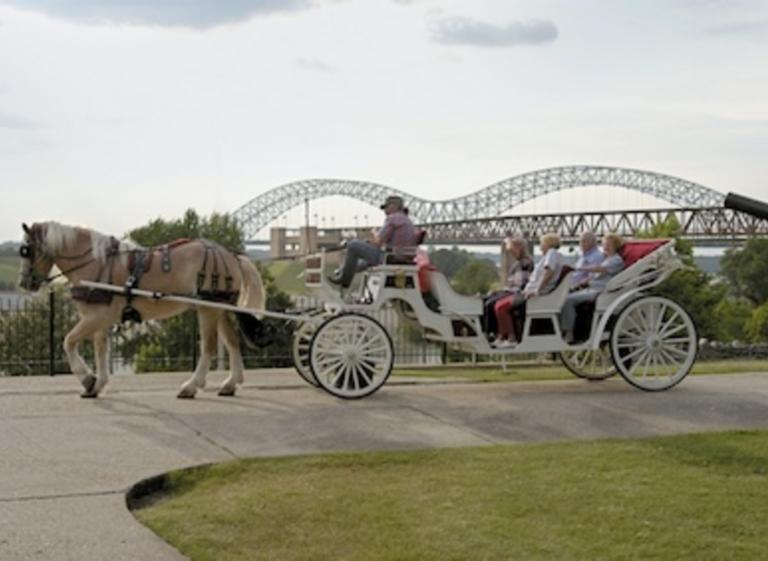 Carriage Company - Baxter Buck Photo