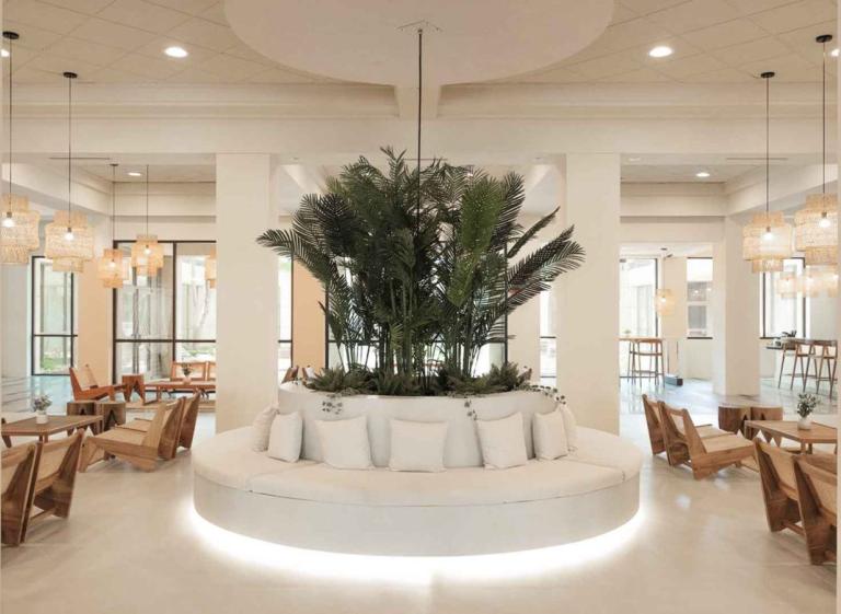Indoor Pool - Memphis Vitality Photo