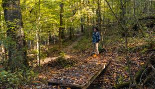 Hiking trail at Shelby Forest State Park near Memphis | Connor Ryan