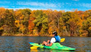 Shelby Forest Kayaking