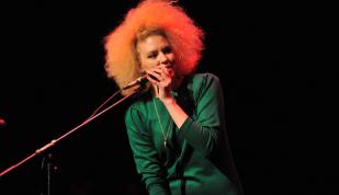 International Blues Challenge - Andrea Zucker