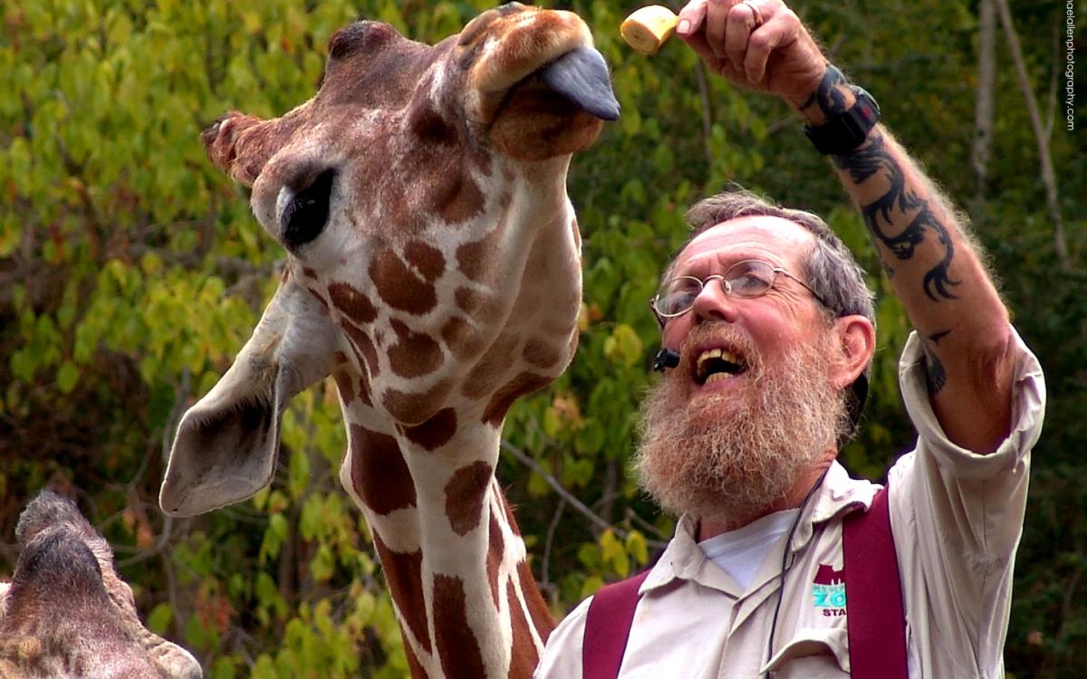 Memphis Zookeeper feeds giraffe