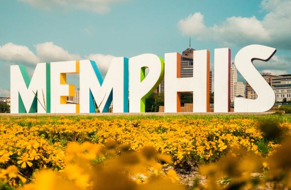 memphis sign on mud island with yellow flowers