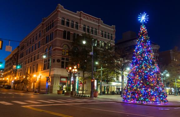 An illuminated tree on Memphis' South Main Street