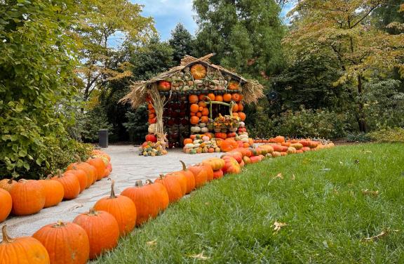 A row of pumpkins leading to a house made of pumpkins at Memphis' Dixon Gallery & Gardens