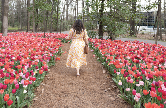 woman walks through pathway surrounded by tulips