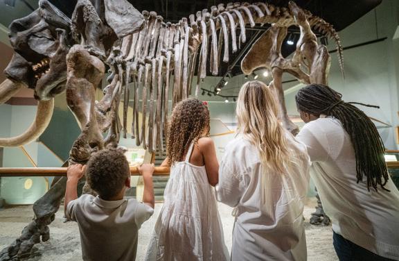 family of four with two young kids look at the bones of dinosaur at Pink Palace