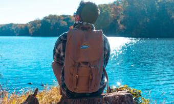 Discover Shelby Forest | Connor Ryan