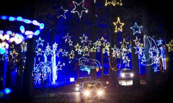Starry Nights light displays at Shelby Farms Park