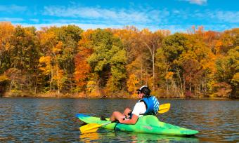 Shelby Forest Kayaking 