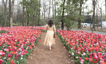 woman walks through tulips