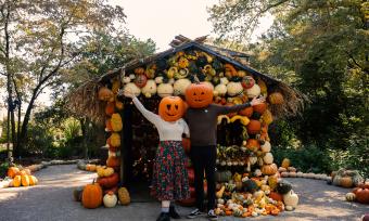 Two People putting pumpkin on their heads in front of a cottage made out of Pumpkin