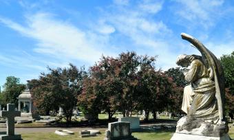 Inside Elmwood Cemetery / Andrea Zucker 